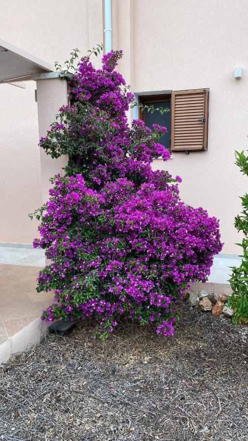 Villa Lp Kokkino Chorio Экстерьер фото