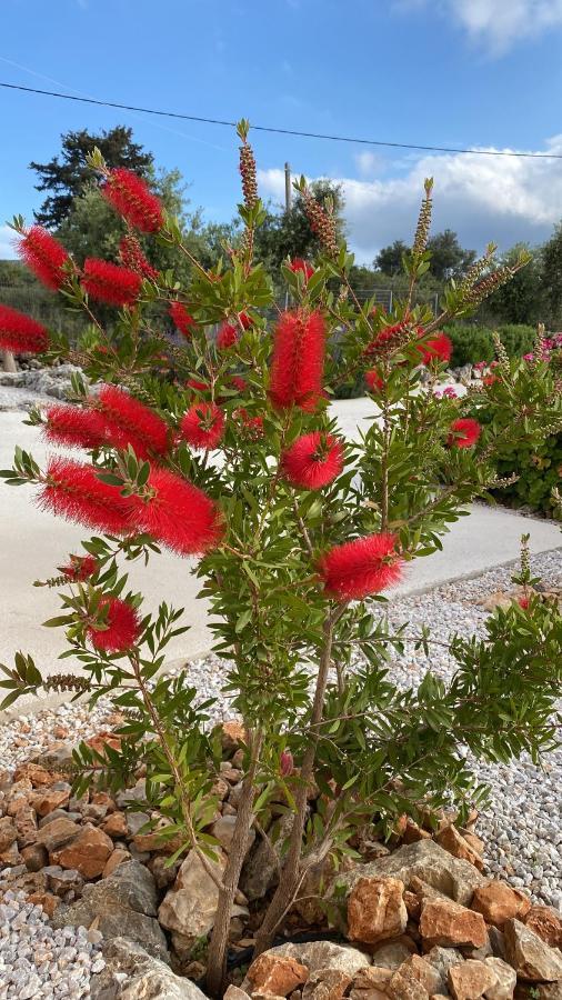 Villa Lp Kokkino Chorio Экстерьер фото